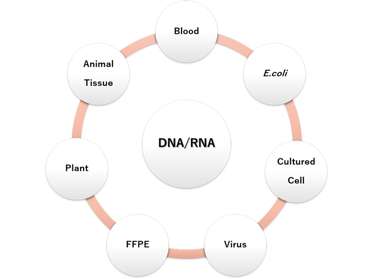 may chiet xuat dna quickgene-auto12s kurabo